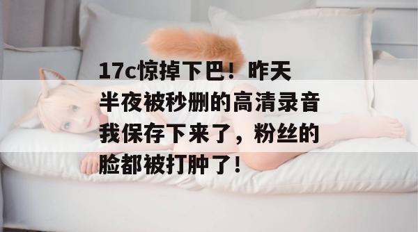 17c惊掉下巴!昨天半夜被秒删的高清录音我保存下来了,粉丝的脸都被打肿了!